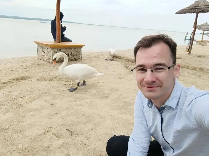 Ferenczy Márk hattyúval